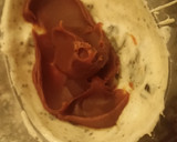 Foto del paso 5 de la receta: Huevo de Pascua oreo con cáscara rellena de dulce de leche
