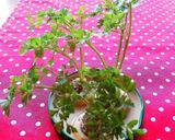 Zöldségzöld 🌿 recept fázis 2 fotója