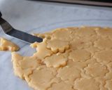 A picture of step 6 of Salted Egg Yolk Cookies.