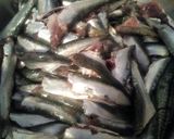 صورة لخطوة 1 من وصفة 🐟 سمك مشوي 🐟