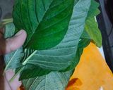 Foto langkah ke 1 dari resep Macaroni sayur keju lumer.