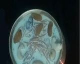 A picture of step 7 of Semiya (Vermicelli) Payasam.