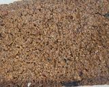 Foto del paso 8 de la receta: Moussaka🍆, receta griega original (con un par de modificaciones para que sea más "saludable")