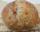 Foto langkah ke 15 dari resep Moringa Jinten Hitam Italian Herbs Cheese Sourdough Bread (Oven Tangkring).