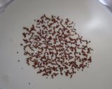 Foto del paso 4 de la receta Tartitas de capuchino