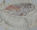 Foto del paso 2 de la receta: Pechuga de pollo! #cocinafamiliar