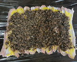 Foto del paso 7 de la receta: Solomillo Wellington