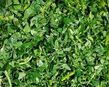 मेथी के पराठे (methi ke parathe recipe in Hindi) रेसिपी चरण 1 फोटो