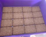 Foto del paso 5 de la receta: Chocotorta