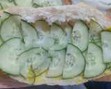 Foto del paso 6 de la receta: Gravlax de salmón