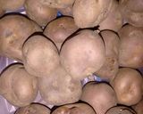 Foto del paso 1 de la receta: Papas andinas al romero