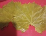 A picture of step 5 of Dolmas with Avgolemono Sauce.