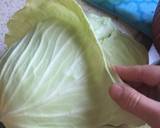Stuffed Cabbage recipe step 3 photo