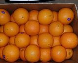 Hình bước làm 1 của món Mứt vỏ cam