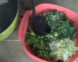Foto del paso 3 de la receta: Jocón de pollo - Guatemala