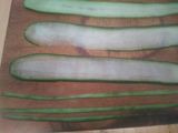 Rollitos de pepino con atún queso crema