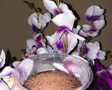 Foto langkah ke 9 dari resep Cake Coklat Lembut.