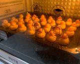 Foto langkah ke 6 dari resep Nastar Bebek.