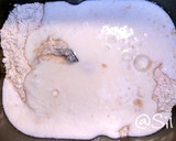 Foto del paso 4 de la receta: 25.🍞Pan semiintegral de leche y yogur (panificadora)