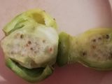 Tunas (La fruta ancestral del nopal y su historia en México)