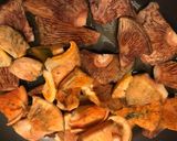 Foto del paso 4 de la receta: Rovellons y esclatasangs(Níscalos) al ajillo