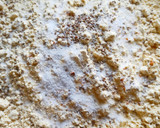 बेसन सेव (Besan sev recipe in Hindi) रेसिपी चरण 1 फोटो