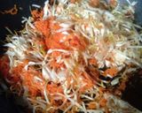 Foto langkah ke 3 dari resep Tahu Isi Pedas Jeletot.