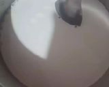 A picture of step 1 of Lab e shireen.