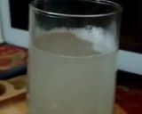 A picture of step 3 of Shikanjabeen.