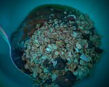 Foto del paso 7 de la receta: Turrón de granola envuelto en arequipe y miel! 🎅