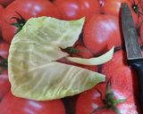 عکس مرحله 2 از دستور سالاد کولسلای لبو (سالاد پاییزی)🥗