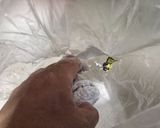 Foto del paso 10 de la receta: Empolvados