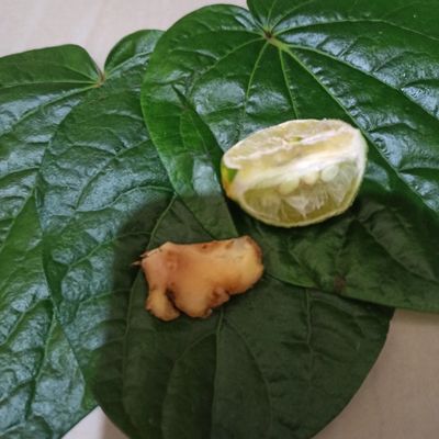 Langkah 1