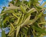 Foto langkah ke 1 dari resep Urap Sayur Kembang Turi.