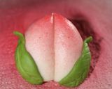 Foto langkah ke 10 dari resep Peach Pau.