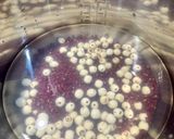 A picture of step 2 of Red Bean and Lotus Seed Soup.