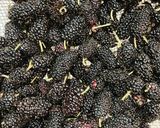 รูปขั้นตอนการทำที่ 1 ของ แยมมัลเบอร์รี่สด Mulberry Jam