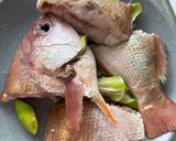 Foto langkah ke 1 dari resep Ikan kakap kuah kuning (papeda).