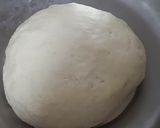 ગાર્લિક નાન (Garlic Naan Recipe In Gujarati) રેસીપી સ્ટેપ1ફોટો