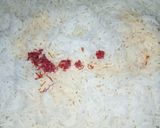 A picture of step 12 of Goanese Chicken Biryani.