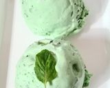 મીન્ટ ચોકો ચિપ્સ આઈસ્ક્રીમ (Mint Choco Chips Icecream Recipe In Gujarati) રેસીપી સ્ટેપ4ફોટો