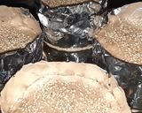 Foto del paso 6 de la receta: Pan de Hamburguesas integrales Veganos