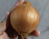 Foto langkah ke 4 dari resep Nasi Biryani Kaya Rempah.