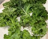 A picture of step 2 of Crispy Kale Chips.