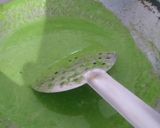 A picture of step 3 of Spinach soup 😋.