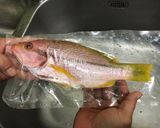 🐟年年有魚🐟港式清蒸黃記仔的食譜步驟2照片