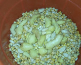 A picture of step 2 of Raw Pap made from scratch.
