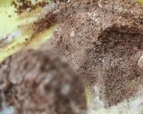 Foto langkah ke 5 dari resep Risol Pisang Coklat Gluten Free.