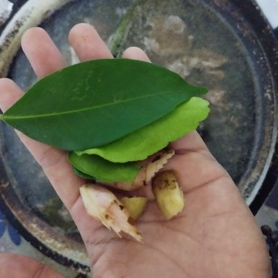 Langkah 2
