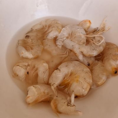Langkah 1